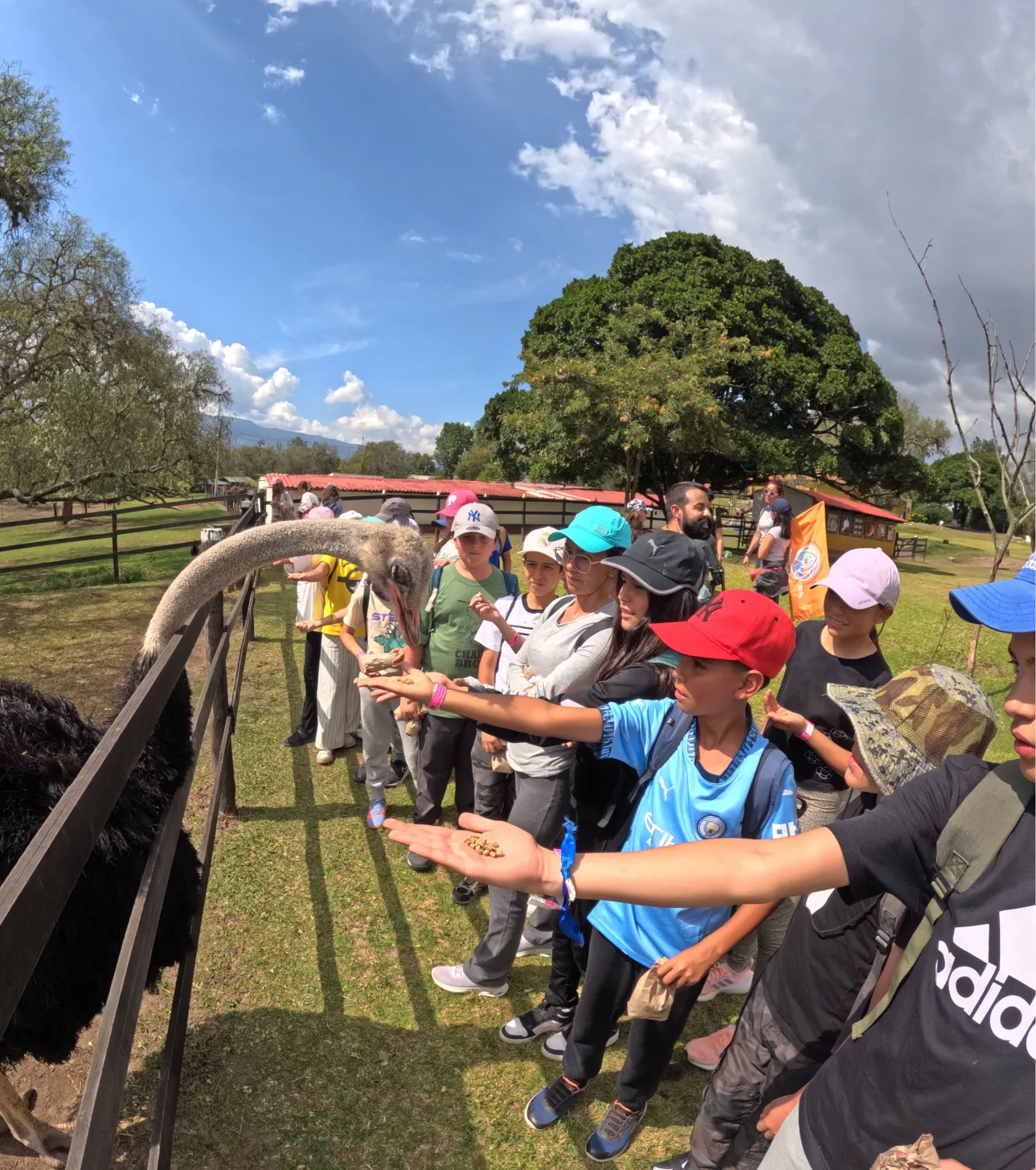 Cómo aprenden Años iniciales y Primaria