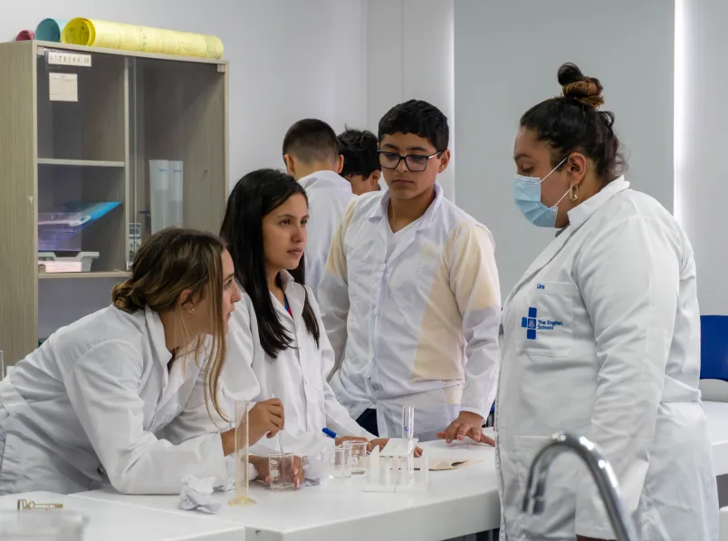 Imagen Información clave