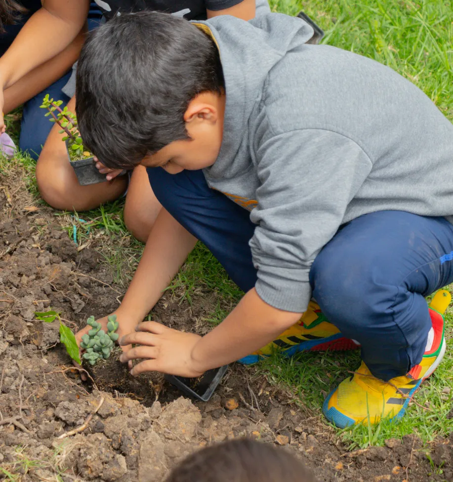Principales proyectos de sostenibilidad en TES