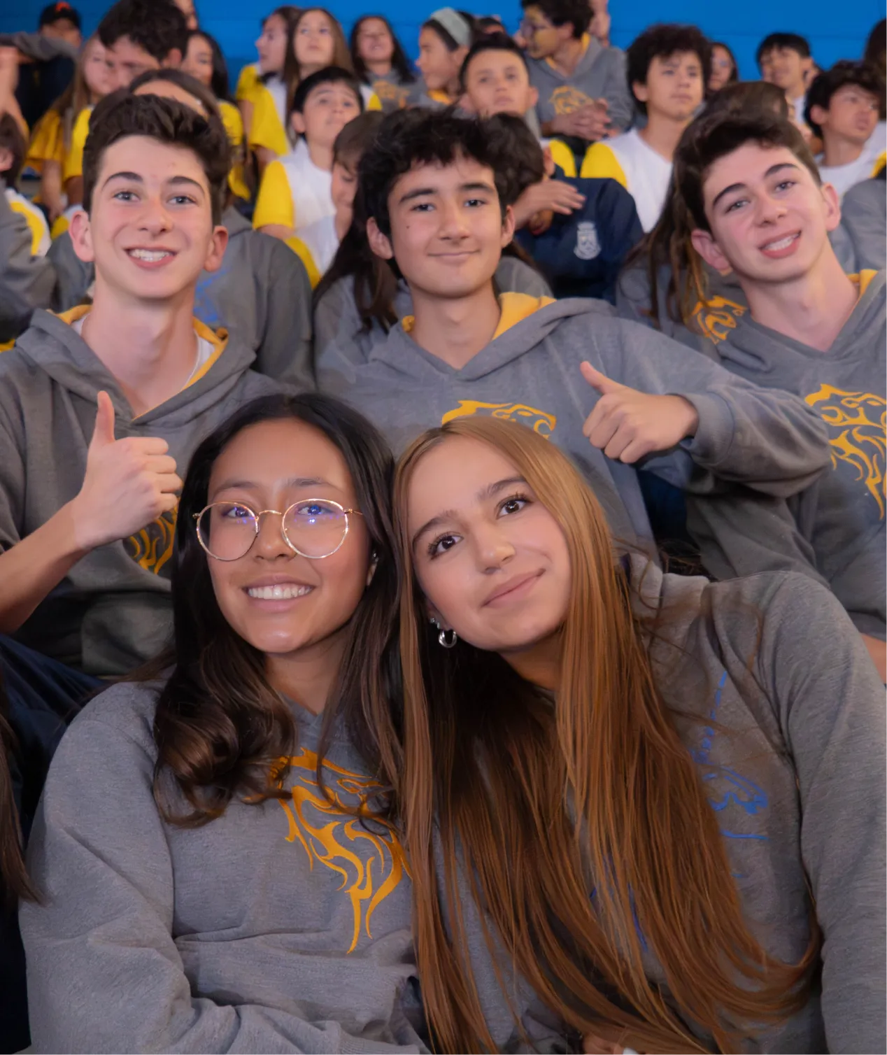 Programa de los Años Intermedios (PAI)