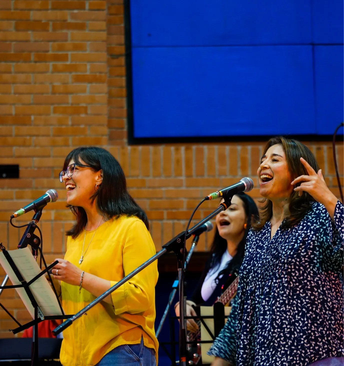 Equipo de docente apasionado y experto
