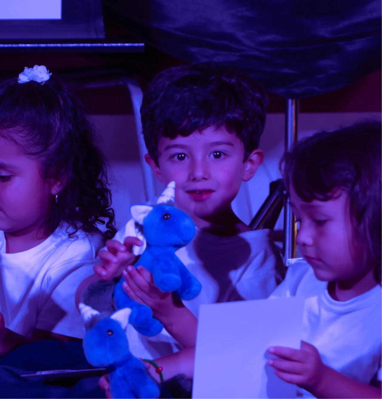 Fotos de asignación de casas3