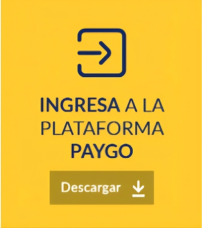 Ingresa a la plataforma de pago